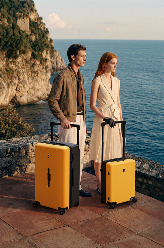 Voyageur Luggage 2 Piece Set