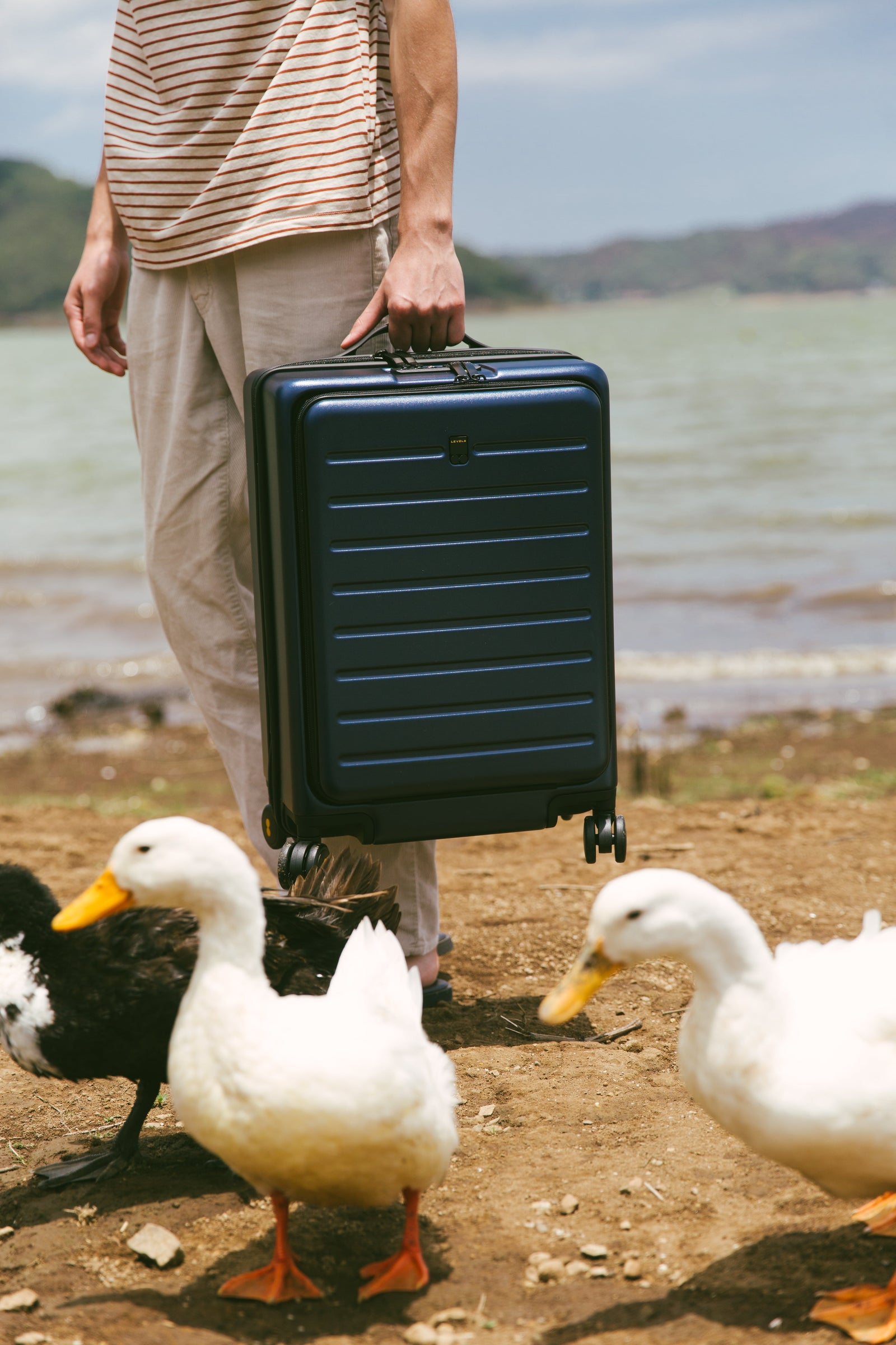 Road Runner Carry-On