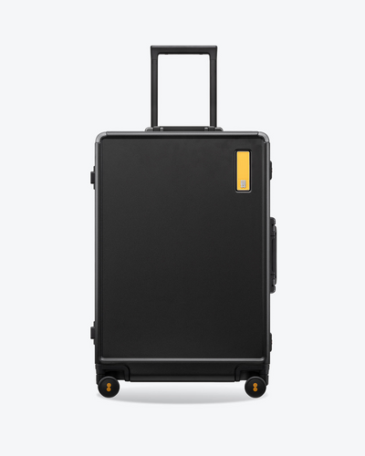 Hegent Check-In Luggage 24''